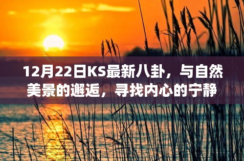 12月22日KS八卦，与自然美景的邂逅，踏寻内心宁静之旅