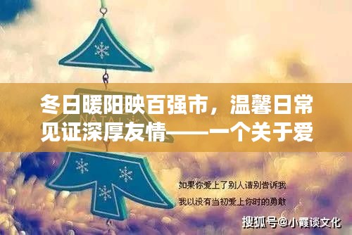 冬日暖阳下的深厚友情与陪伴，一个温馨的日常故事