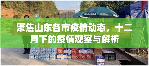山东各市疫情动态观察与解析，十二月下的疫情观察报告