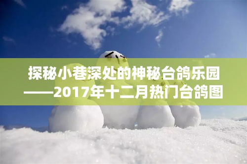 神秘小巷