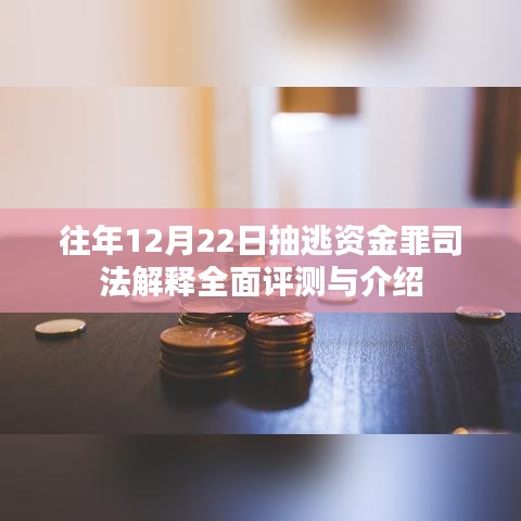 往年12月22日抽逃资金罪司法解释全面解析与介绍