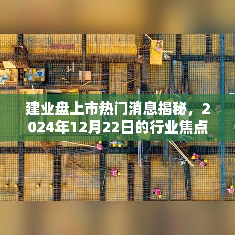 建业盘上市热门消息揭秘，行业焦点与趋势分析（2024年12月22日）