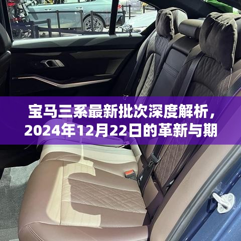 飞扬拨扈 第2页