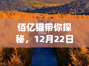 佰亿猫带你探寻，12月22日自然美景之旅