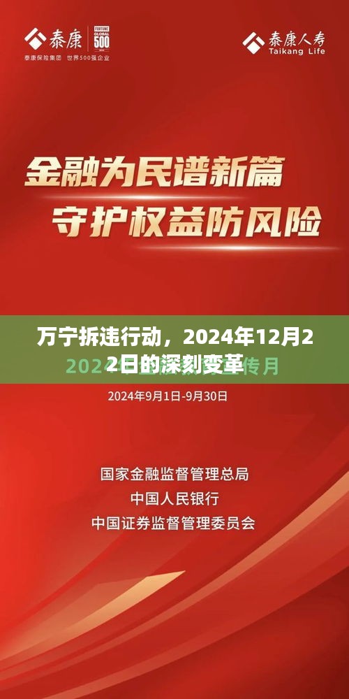 万宁拆违行动，深刻变革的起点——2024年12月22日纪实