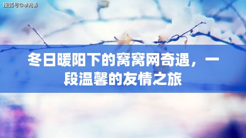 冬日暖阳