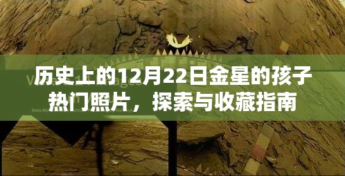 富贵荣华