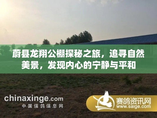 蔚县龙翔公棚，探寻自然美景，寻觅内心宁静之旅