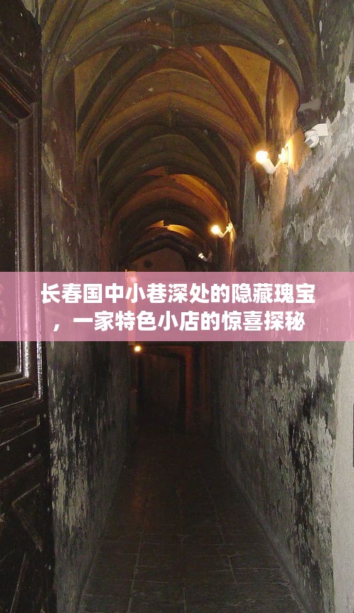 长春小巷深处的隐藏瑰宝，特色小店探秘之旅