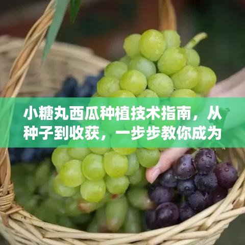 贵而贱目 第2页