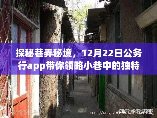探秘巷弄秘境，公务行app带你领略小巷独特风情在12月22日揭晓