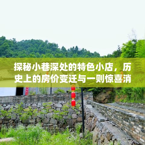 探秘小巷深处的特色小店，历史房价变迁与惊喜消息——记2016年12月22日的独特观察之旅
