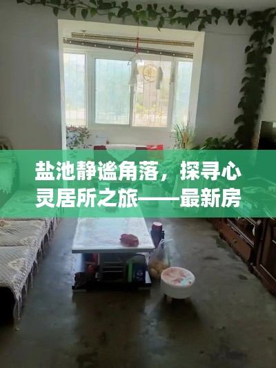 自然探索