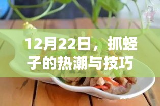蛏子捕捞热潮与技巧，12月22日的热门活动