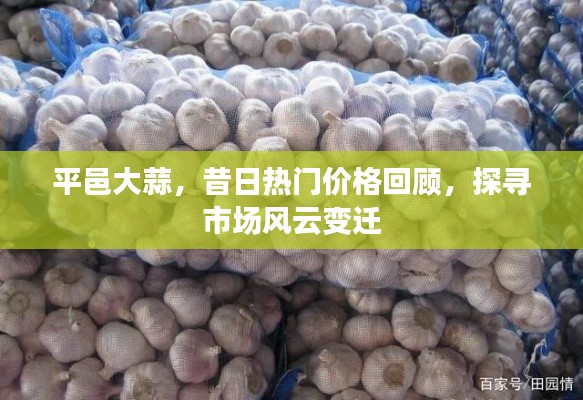 平邑大蒜昔日热门价格回顾，探寻市场变迁之路