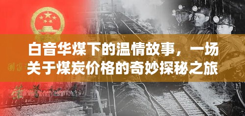 白音华煤下的温情与煤炭价格探秘之旅