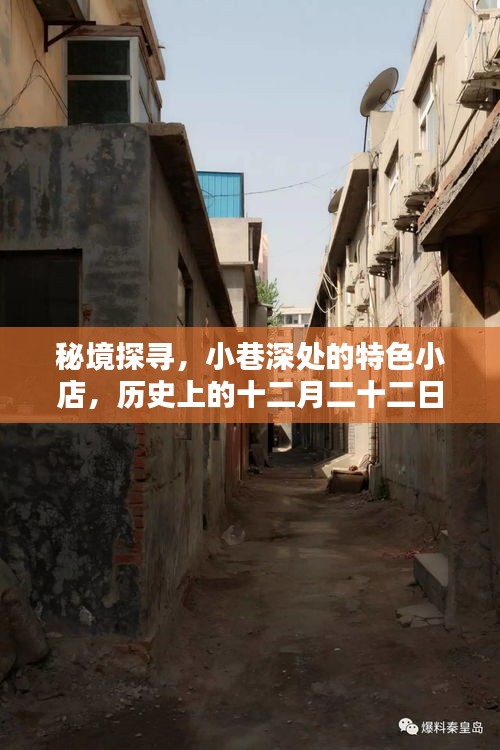 秘境探寻，十二月二十二日独家记忆中的小巷深处特色小店
