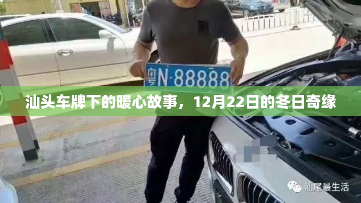 冬日奇缘