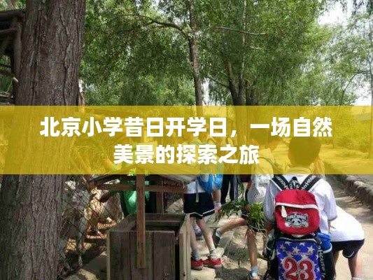 自然美景之旅