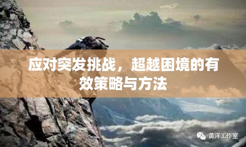 雪中送炭 第2页