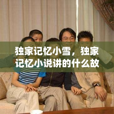 独家记忆小雪，独家记忆小说讲的什么故事 