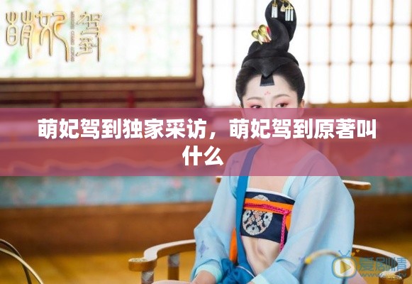 萌妃驾到独家采访，萌妃驾到原著叫什么 