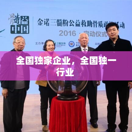 全国独家企业，全国独一行业 