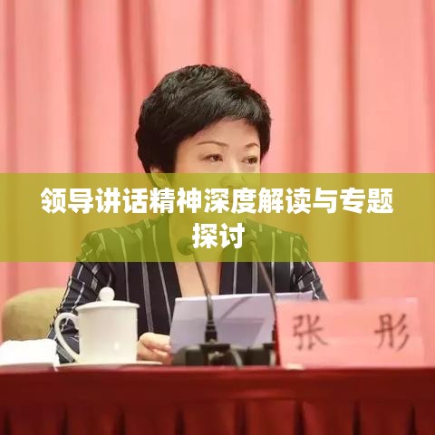 领导讲话精神深度解读与专题探讨