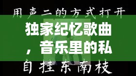 独家纪忆歌曲，音乐里的私密情感与独特回忆