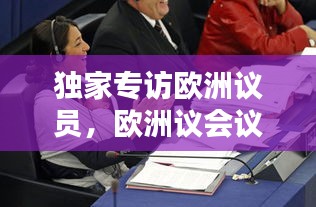 独家专访欧洲议员，欧洲议会议员名单 