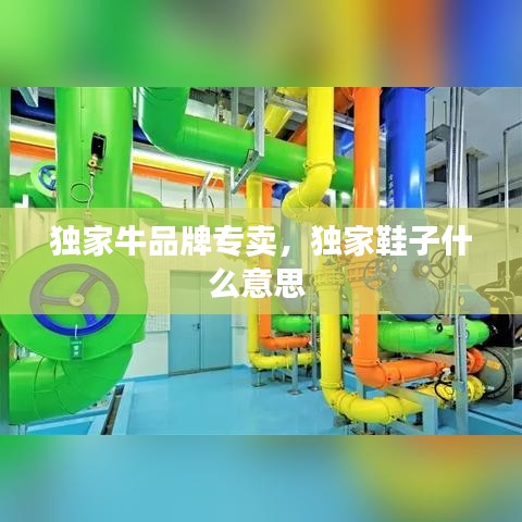 绝代佳人 第2页