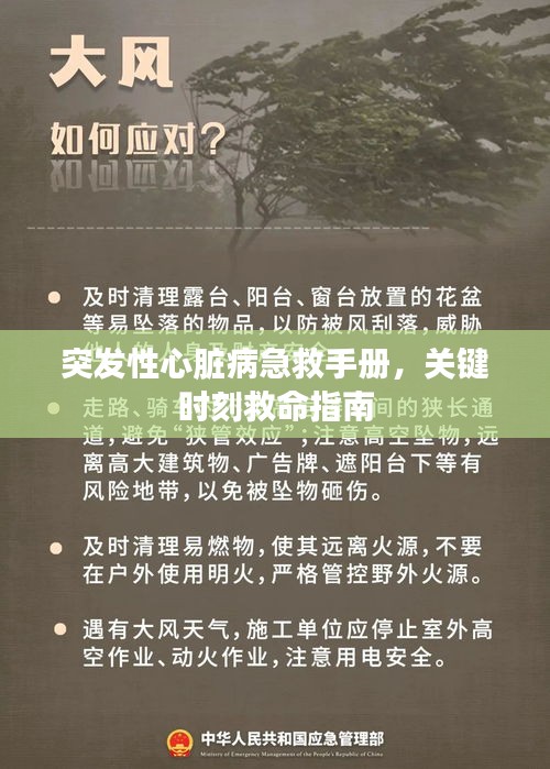 攀高接贵 第2页