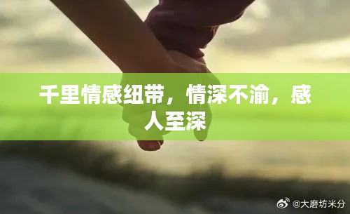 千里情感纽带，情深不渝，感人至深