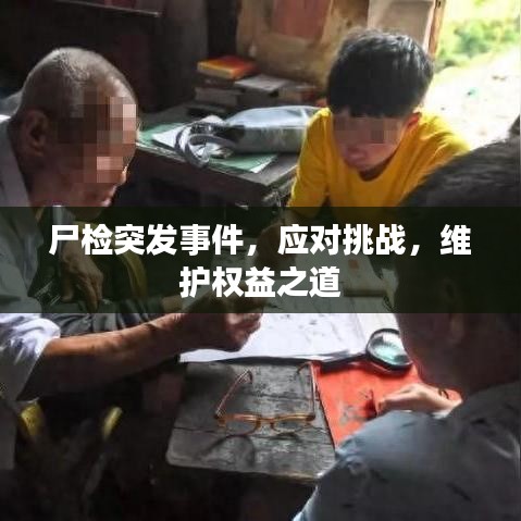 尸检突发事件，应对挑战，维护权益之道