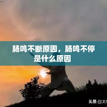 虎视眈眈 第2页