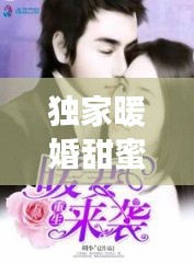 独家暖婚甜蜜，独家暖妻 
