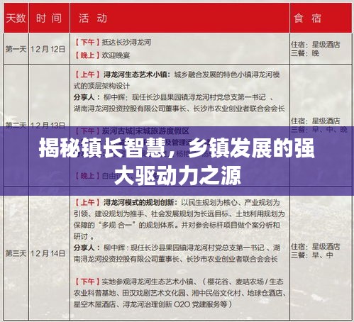 揭秘镇长智慧，乡镇发展的强大驱动力之源