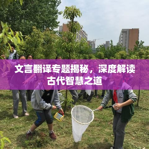 文言翻译专题揭秘，深度解读古代智慧之道