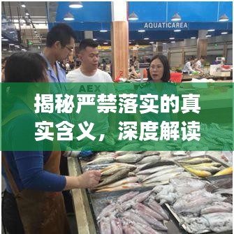 揭秘严禁落实的真实含义，深度解读背后的意图与行动指南！