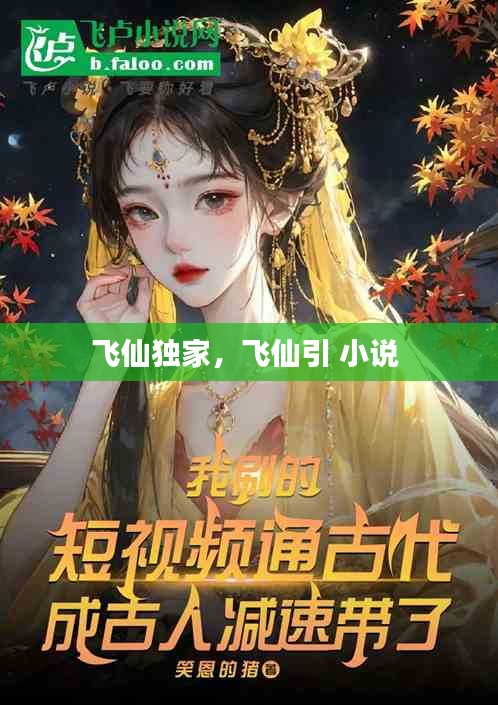 飞仙独家，飞仙引 小说 