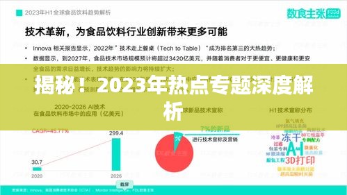 揭秘！2023年热点专题深度解析