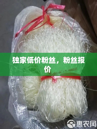 独家低价粉丝，粉丝报价 