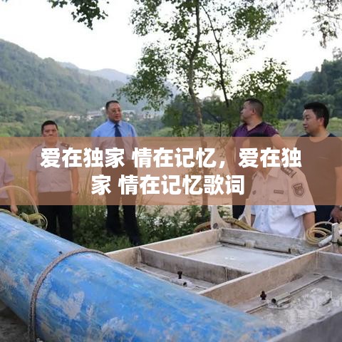 爱在独家 情在记忆，爱在独家 情在记忆歌词 