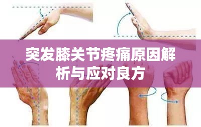 一张一翕 第2页