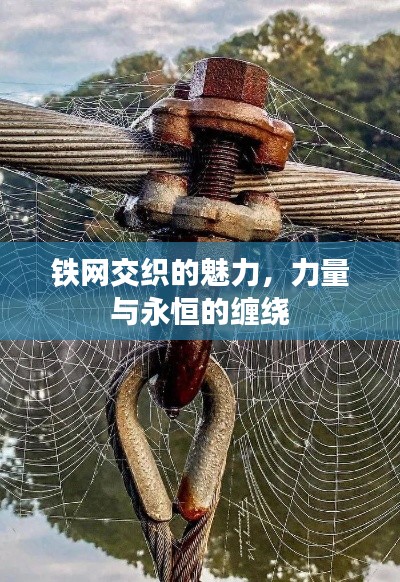 铁网交织的魅力，力量与永恒的缠绕