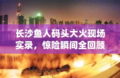 顶天立地 第2页