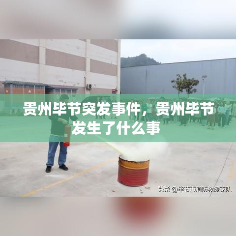 贵州毕节突发事件，贵州毕节发生了什么事 