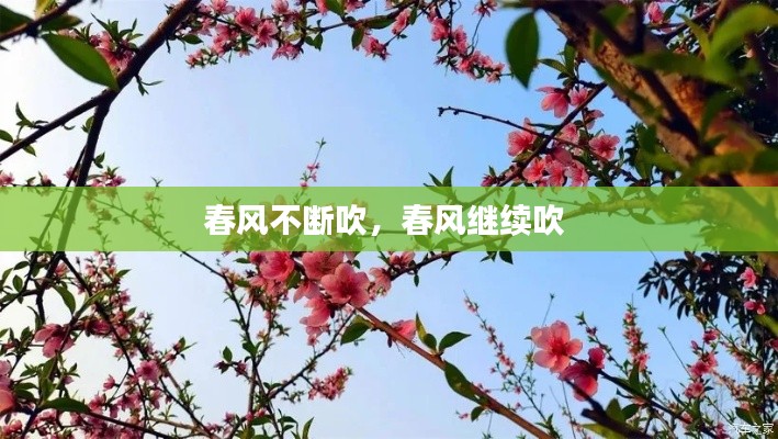 春风不断吹，春风继续吹 