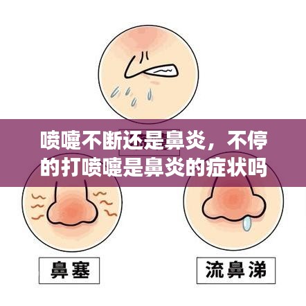 富贵逼人 第2页