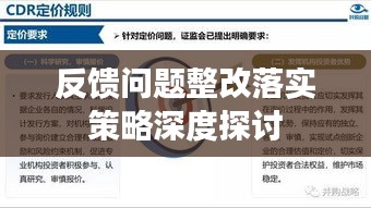 反馈问题整改落实策略深度探讨